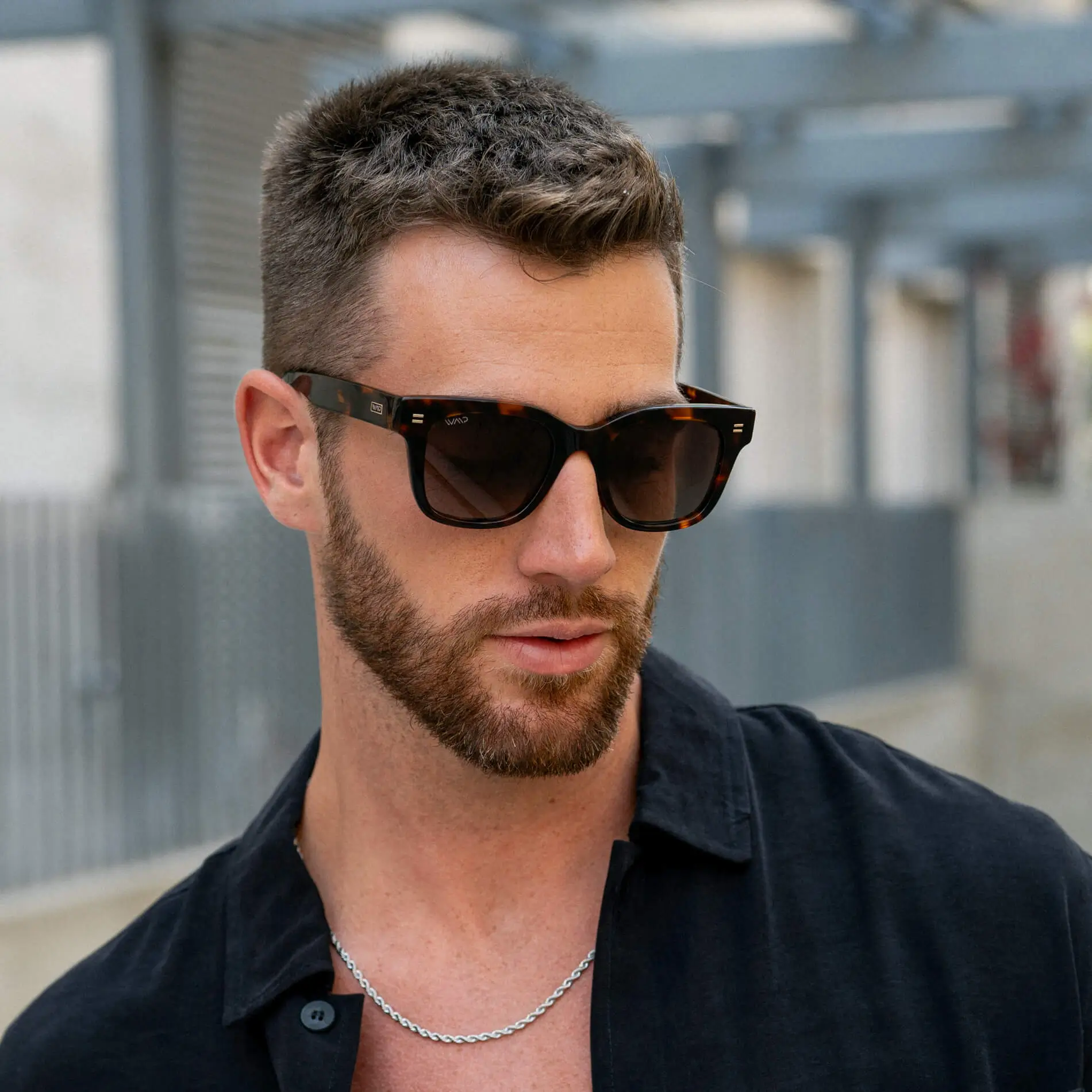 Nash | Polarized - Image 5