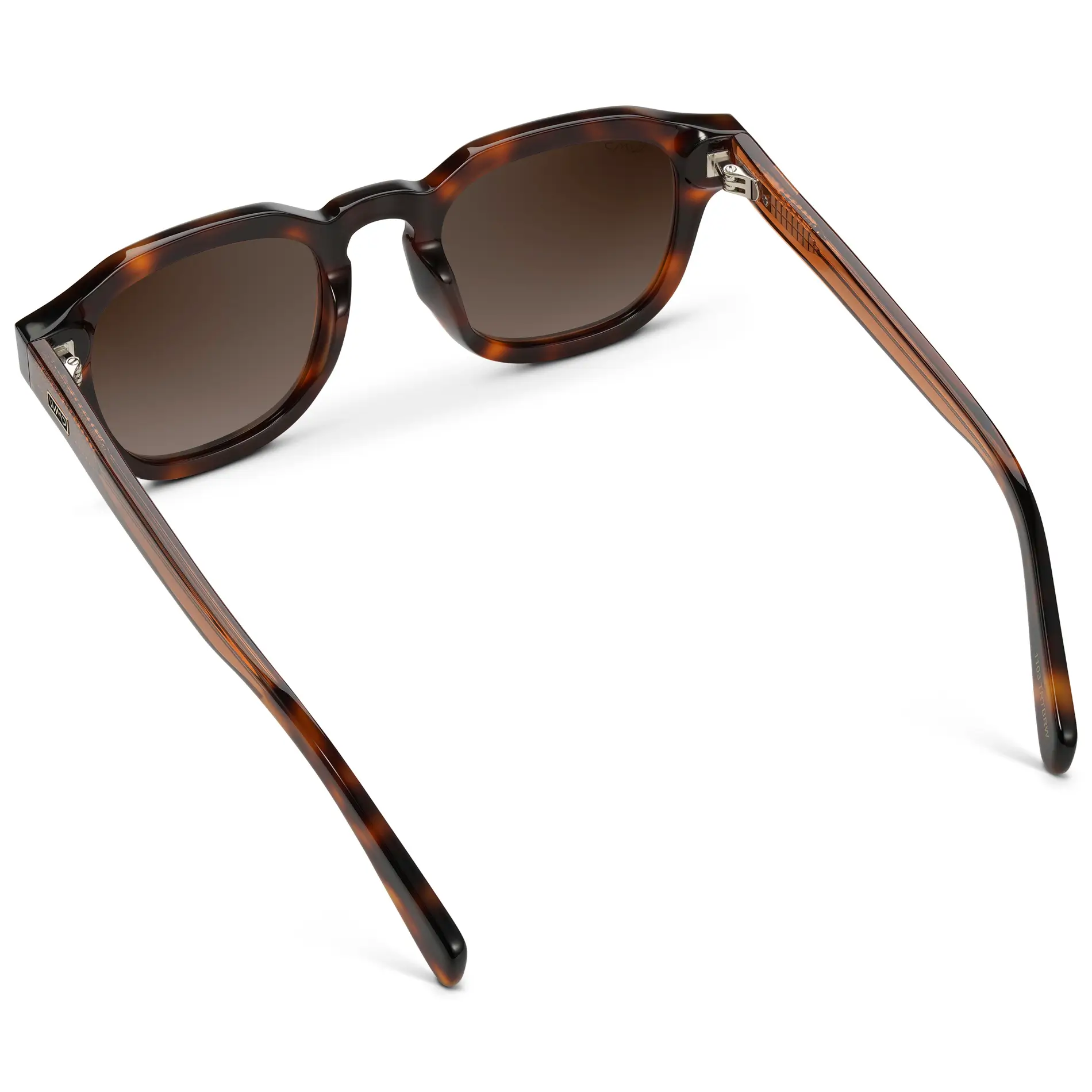 Nelson | Polarized - Image 27