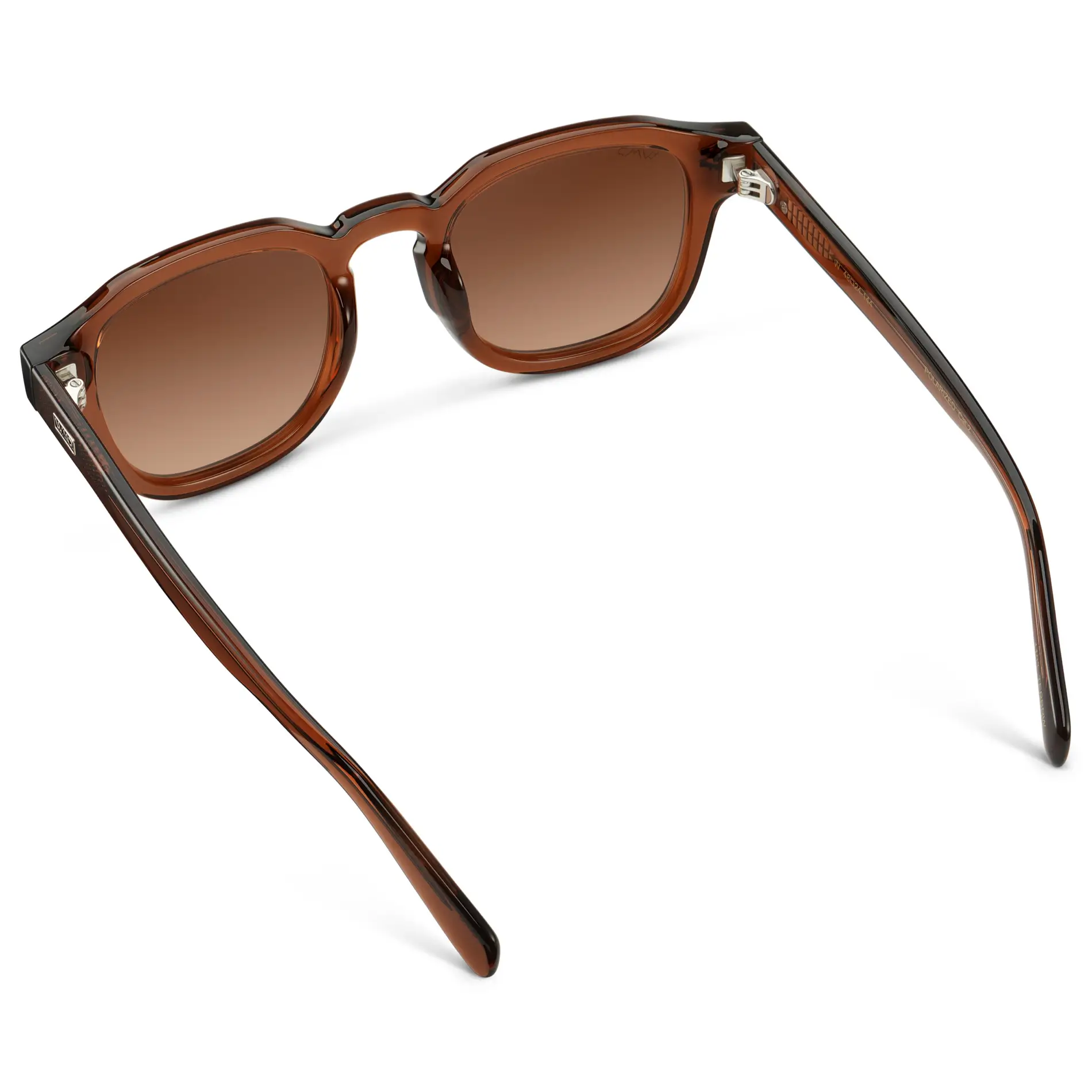 Nelson | Polarized - Image 32
