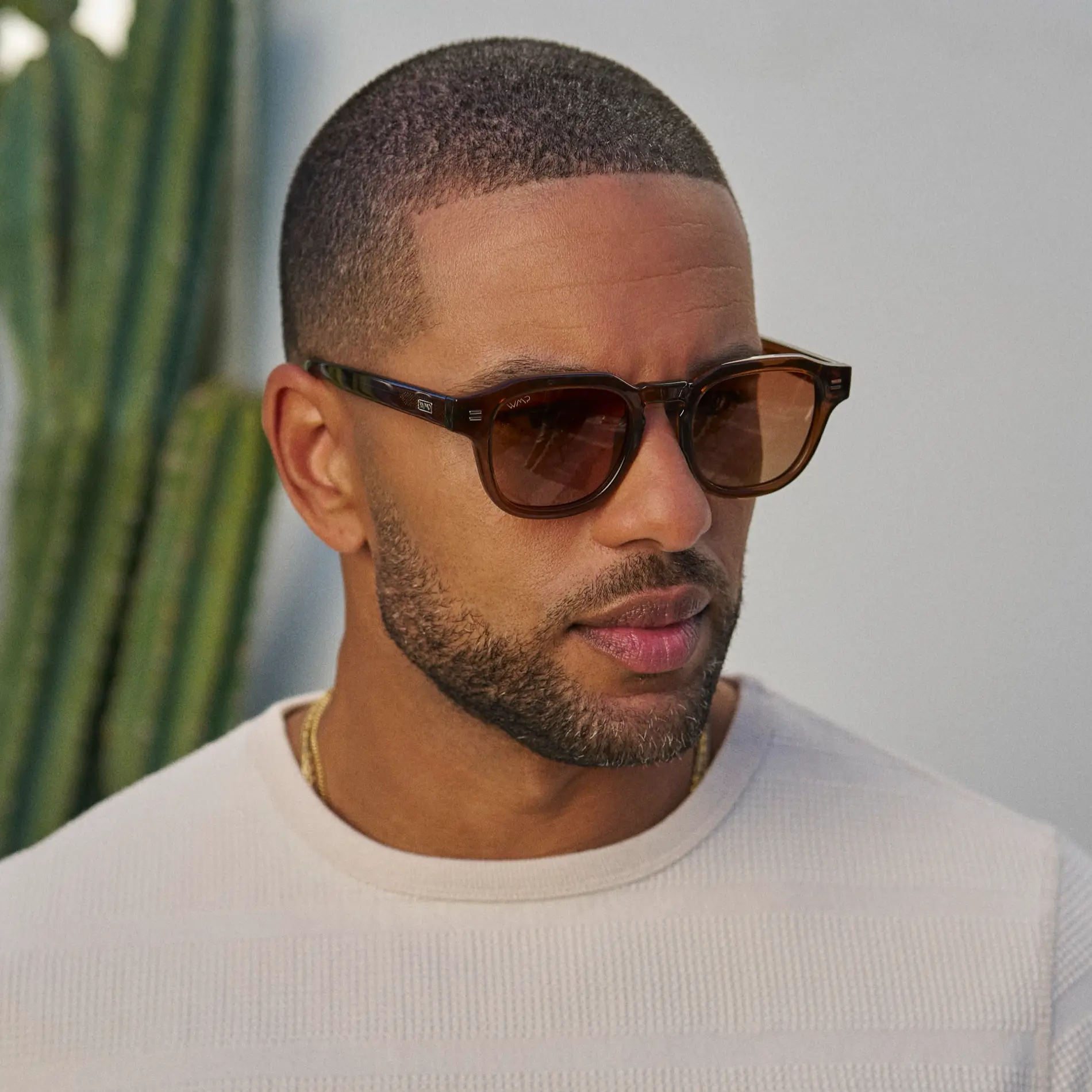 Nelson | Polarized - Image 33