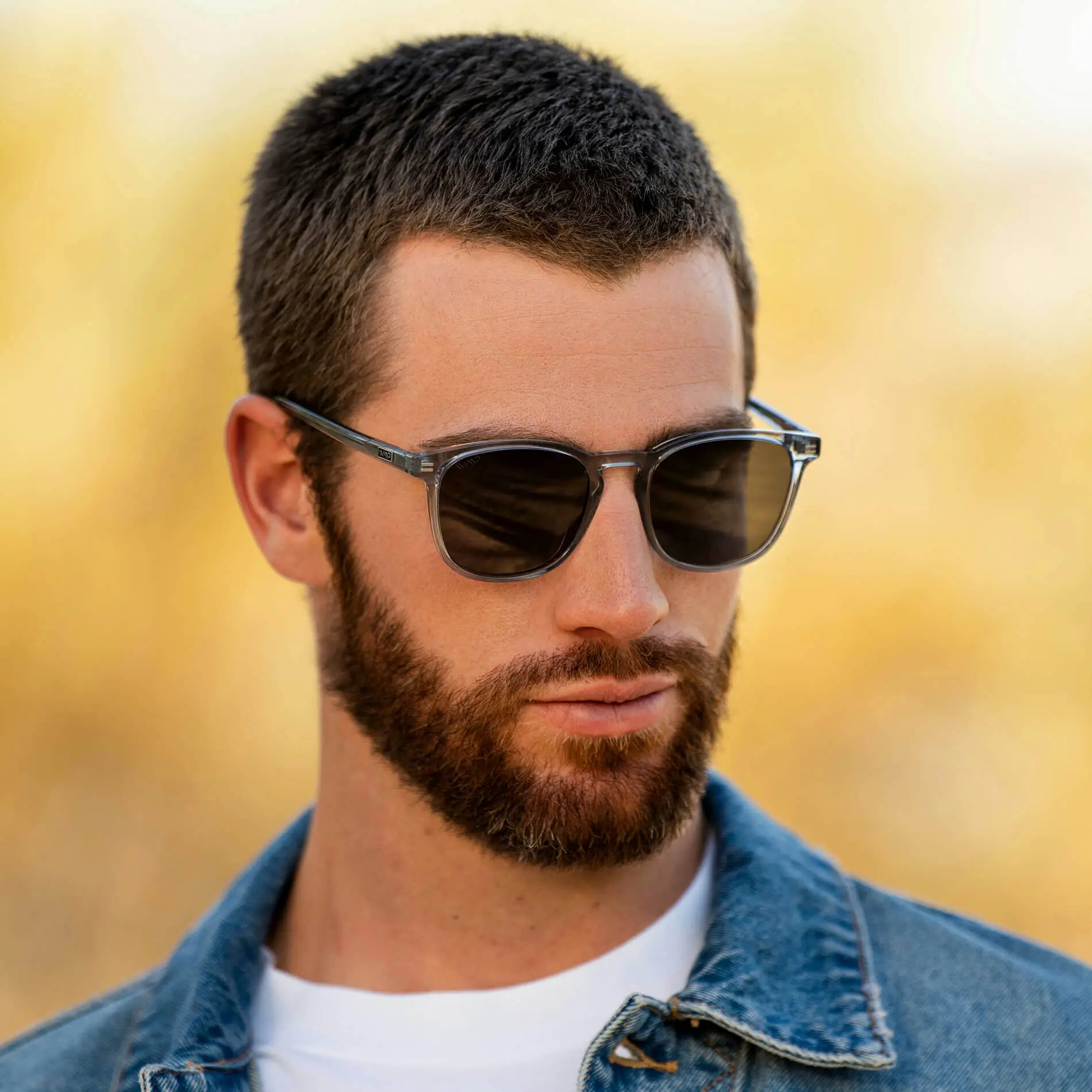 Nick | Polarized - Image 17