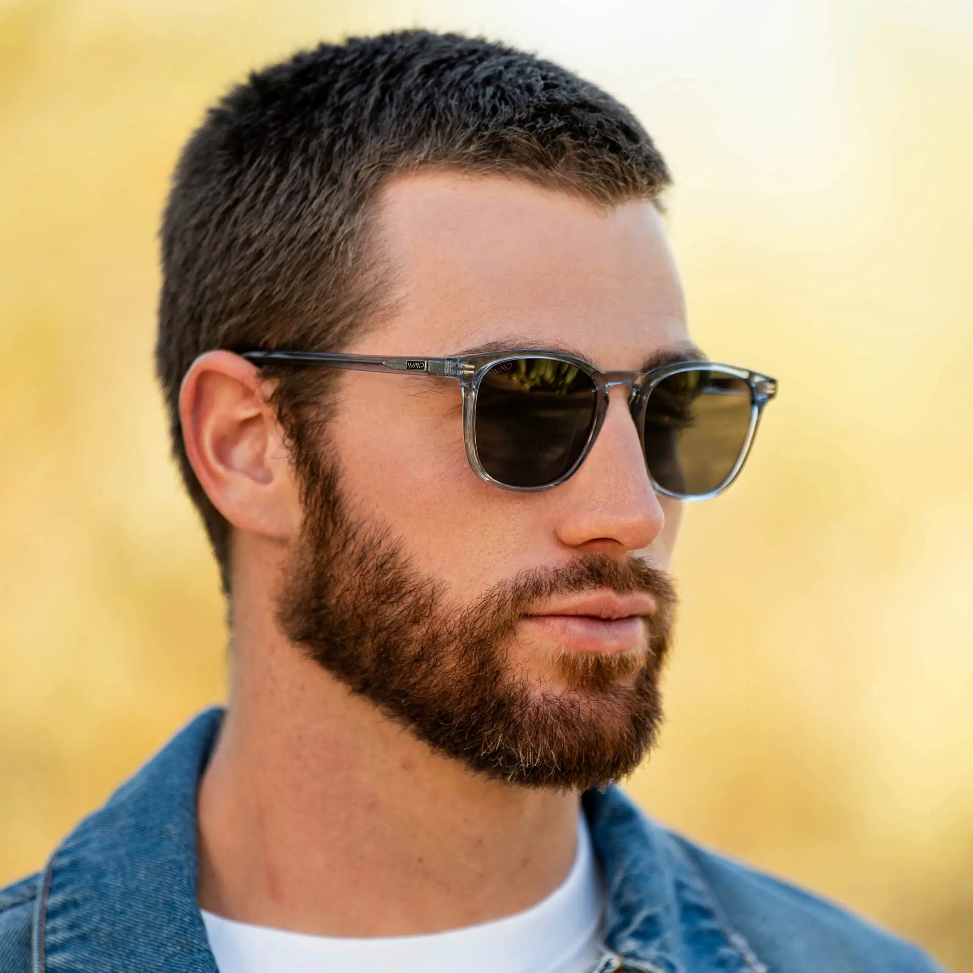 Nick | Polarized - Image 18