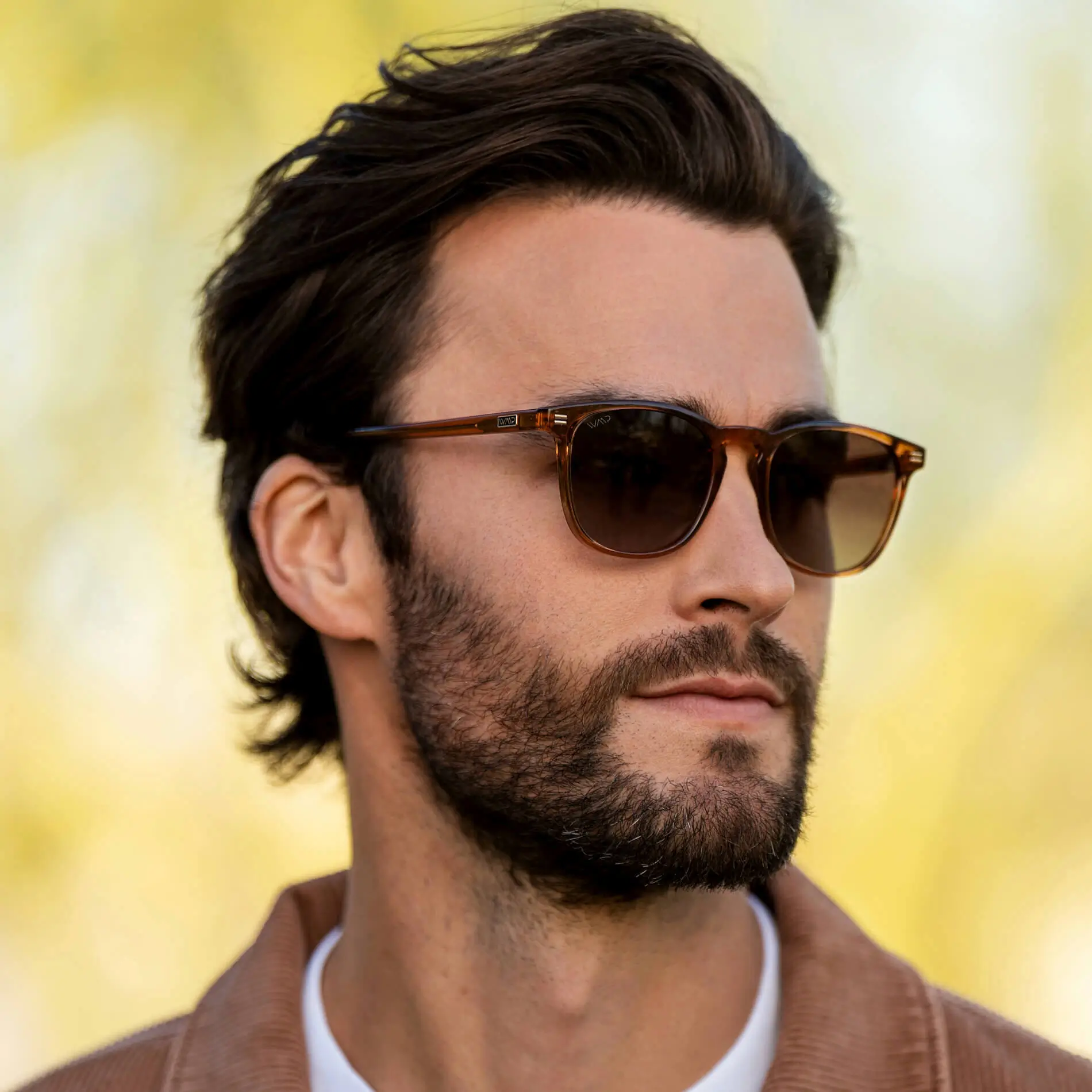 Nick | Polarized - Image 22