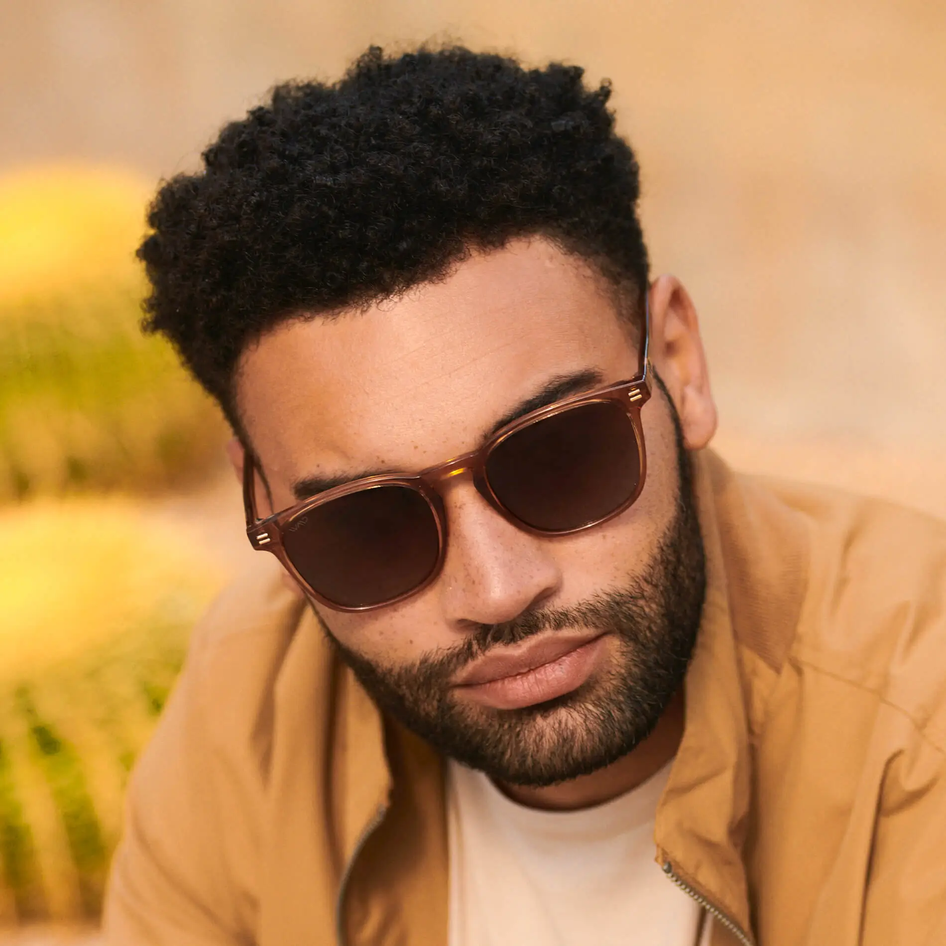 Nick | Polarized - Image 23