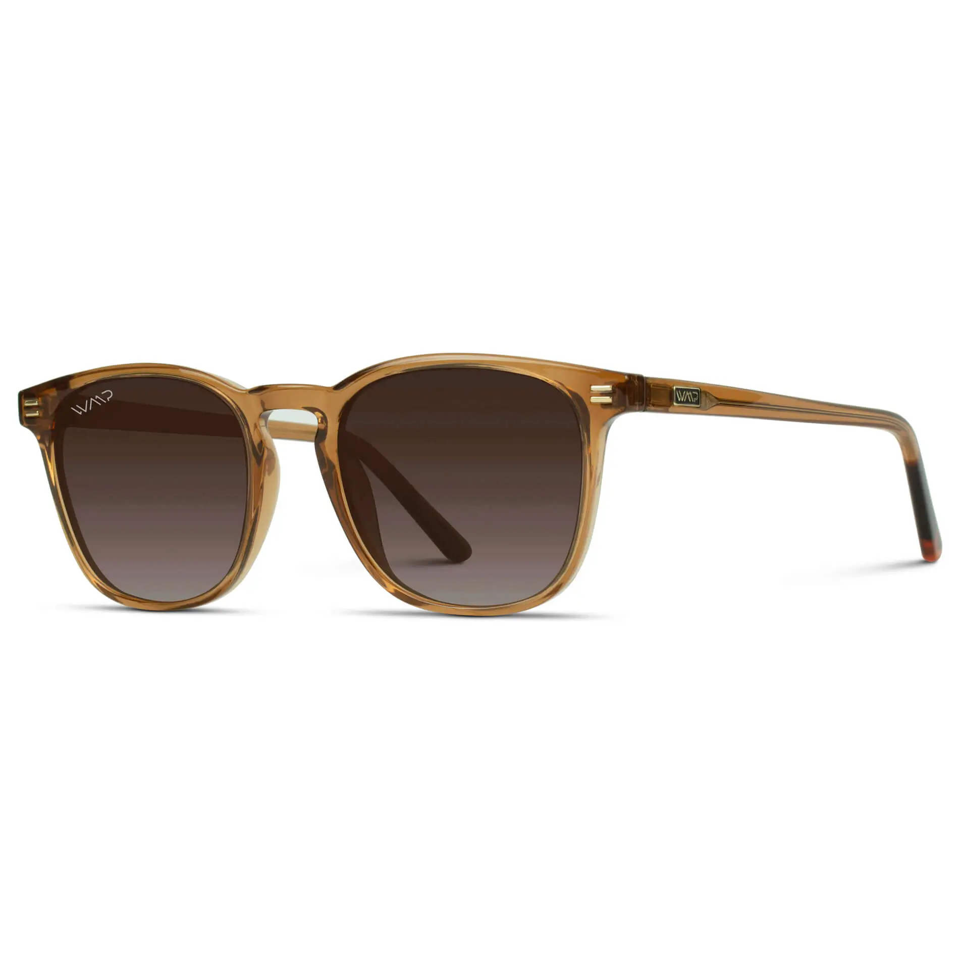 Nick | Polarized - Image 24