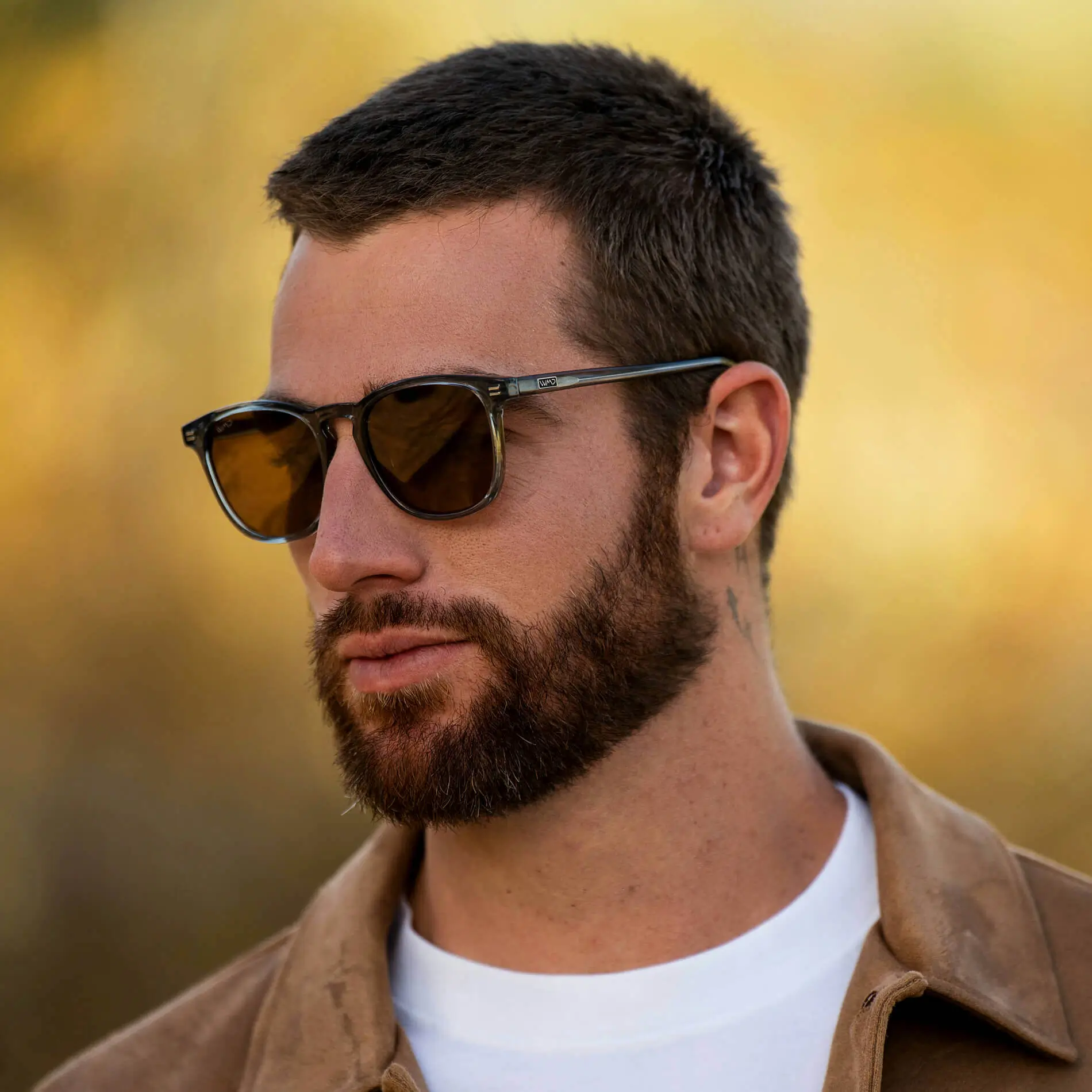 Nick | Polarized - Image 29