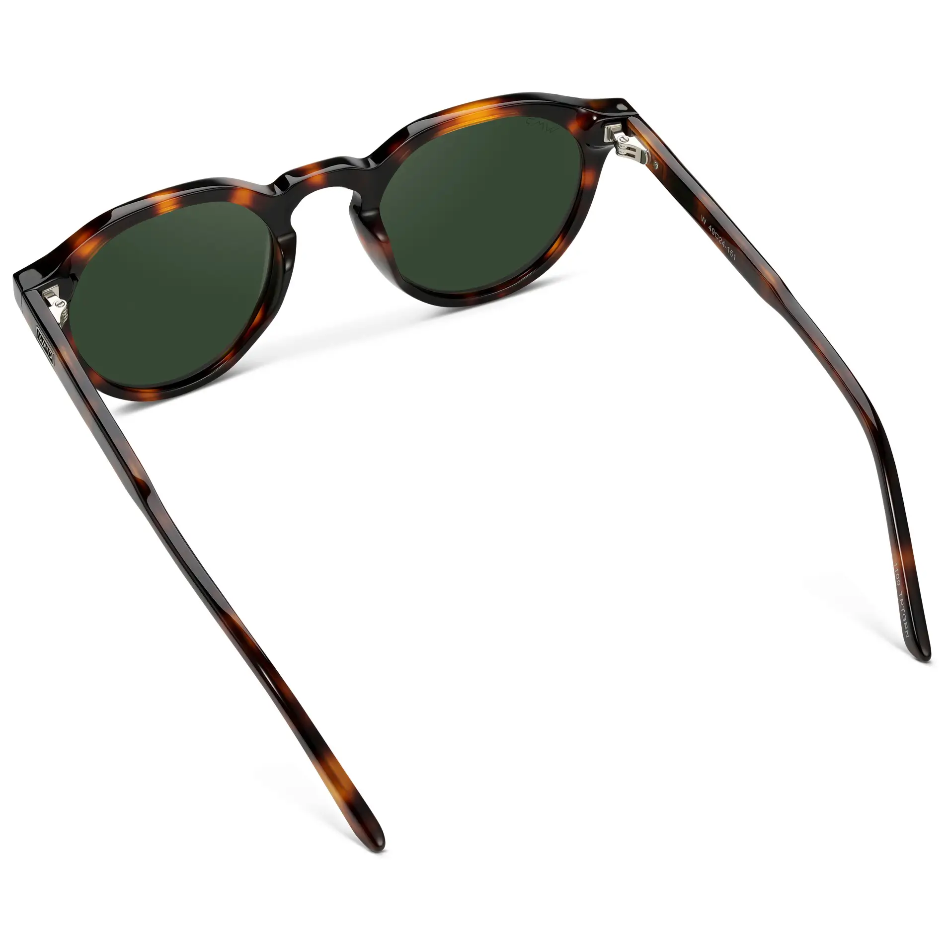 Ralph | Polarized - Image 18