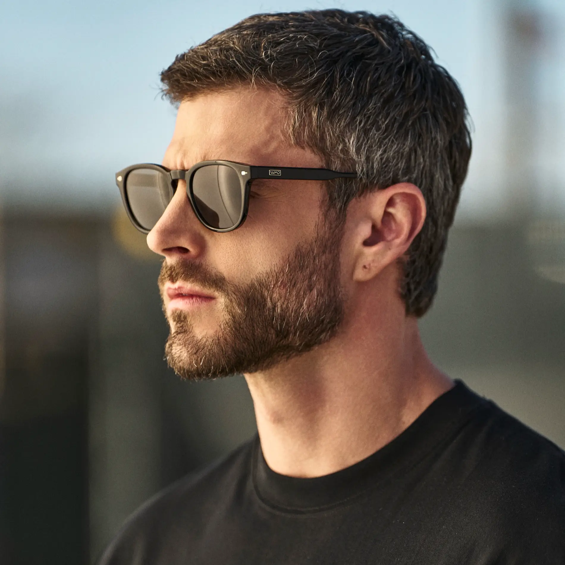 Scout | Polarized - Image 3