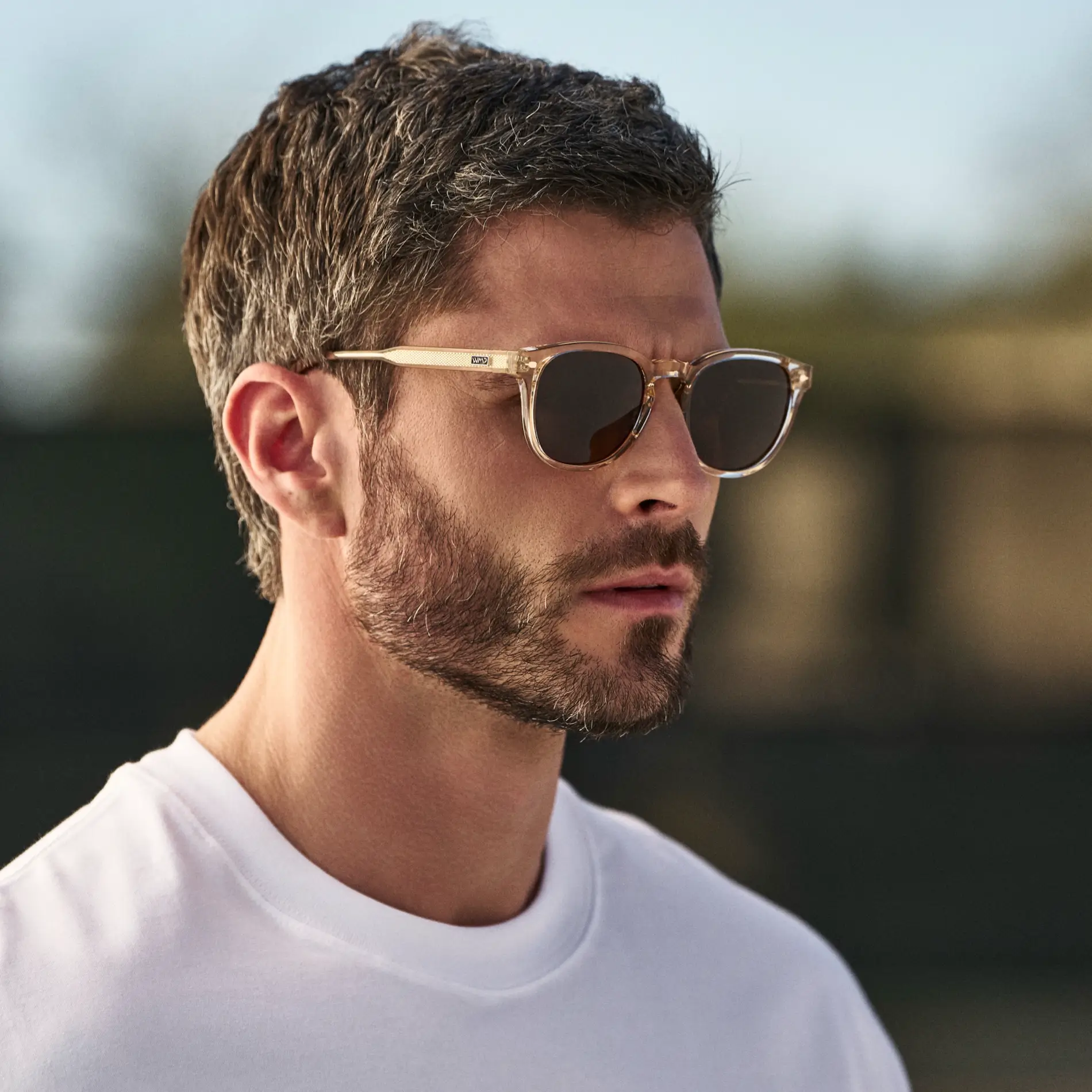 Scout | Polarized - Image 8