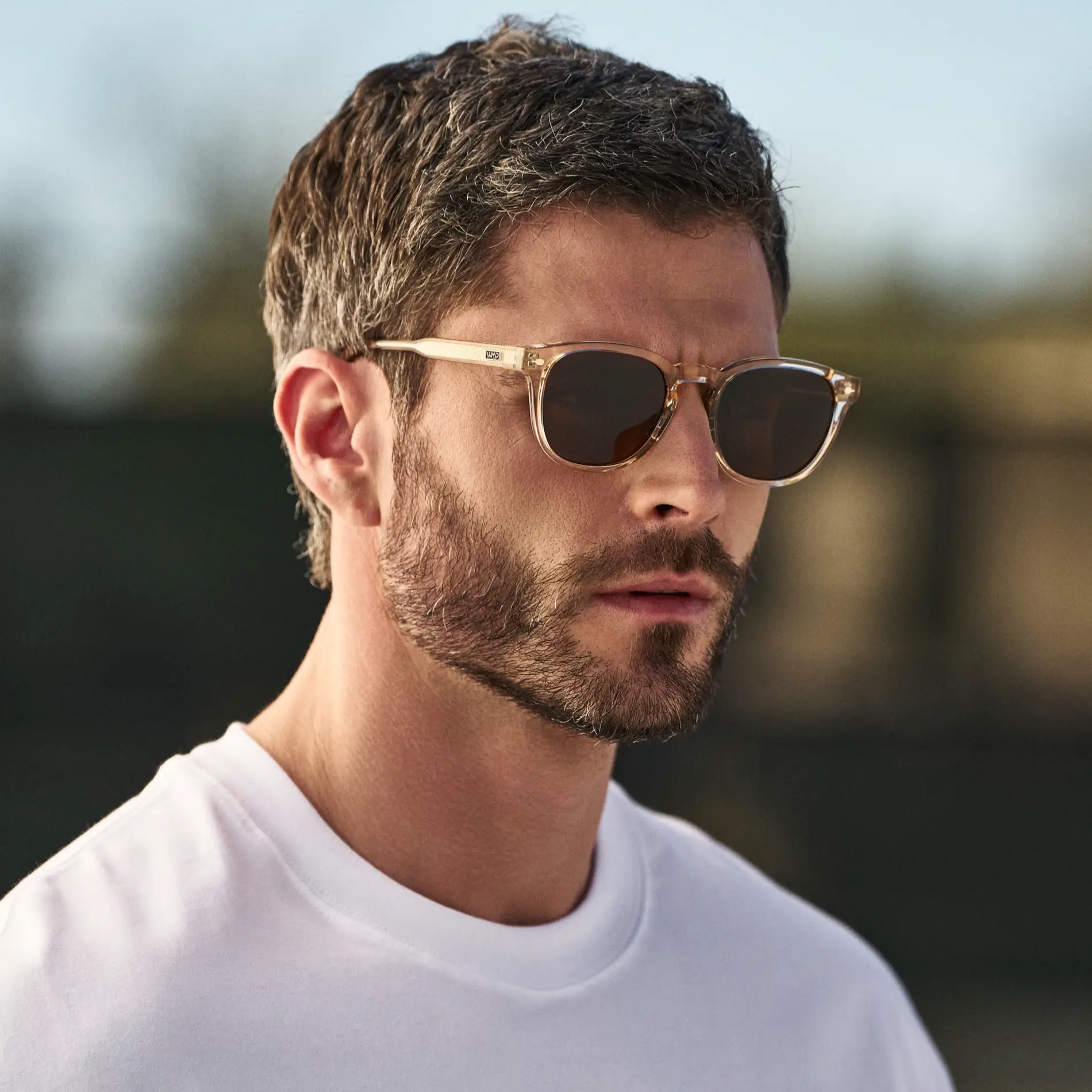 Scout | Polarized - Image 9