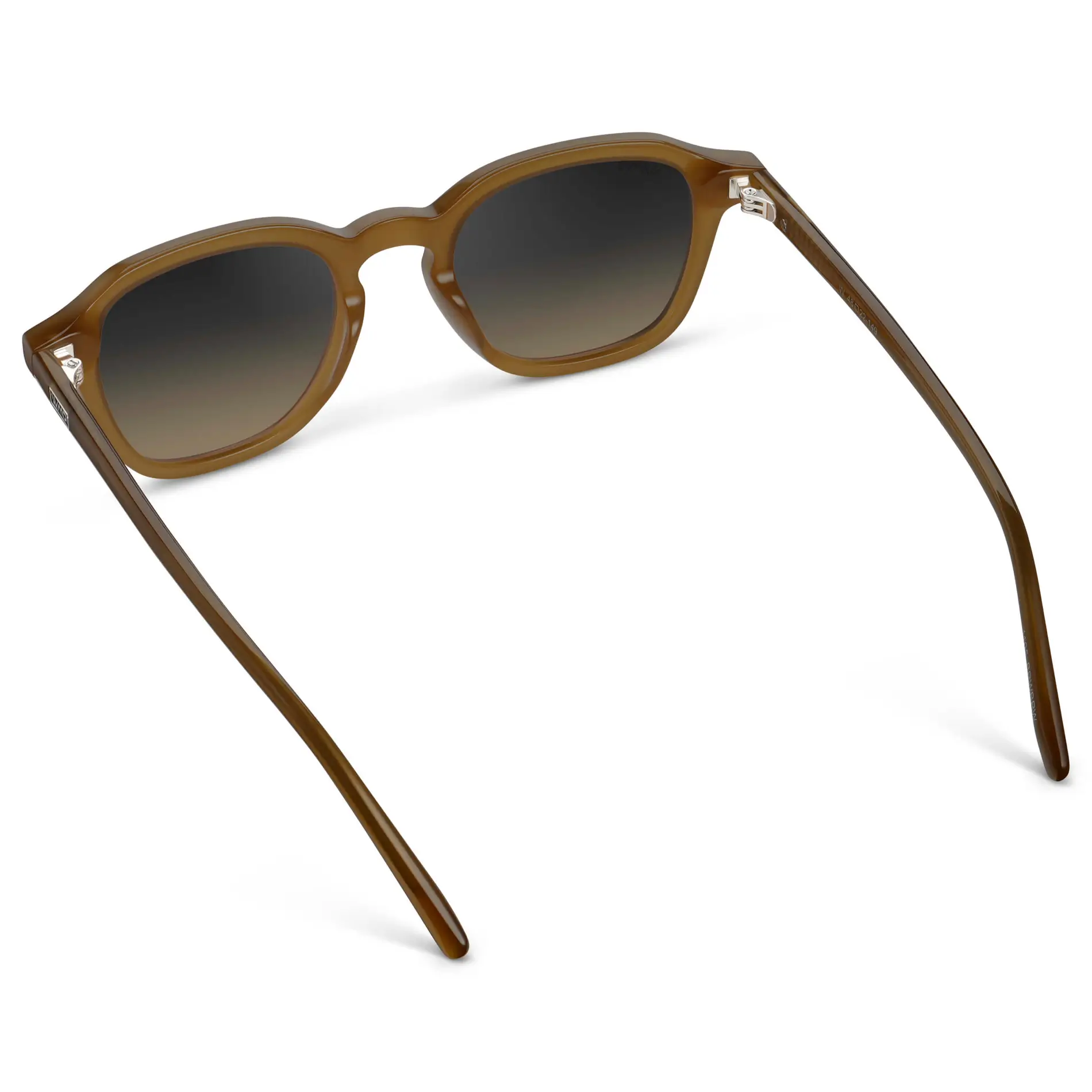 Silas | Polarized - Image 15