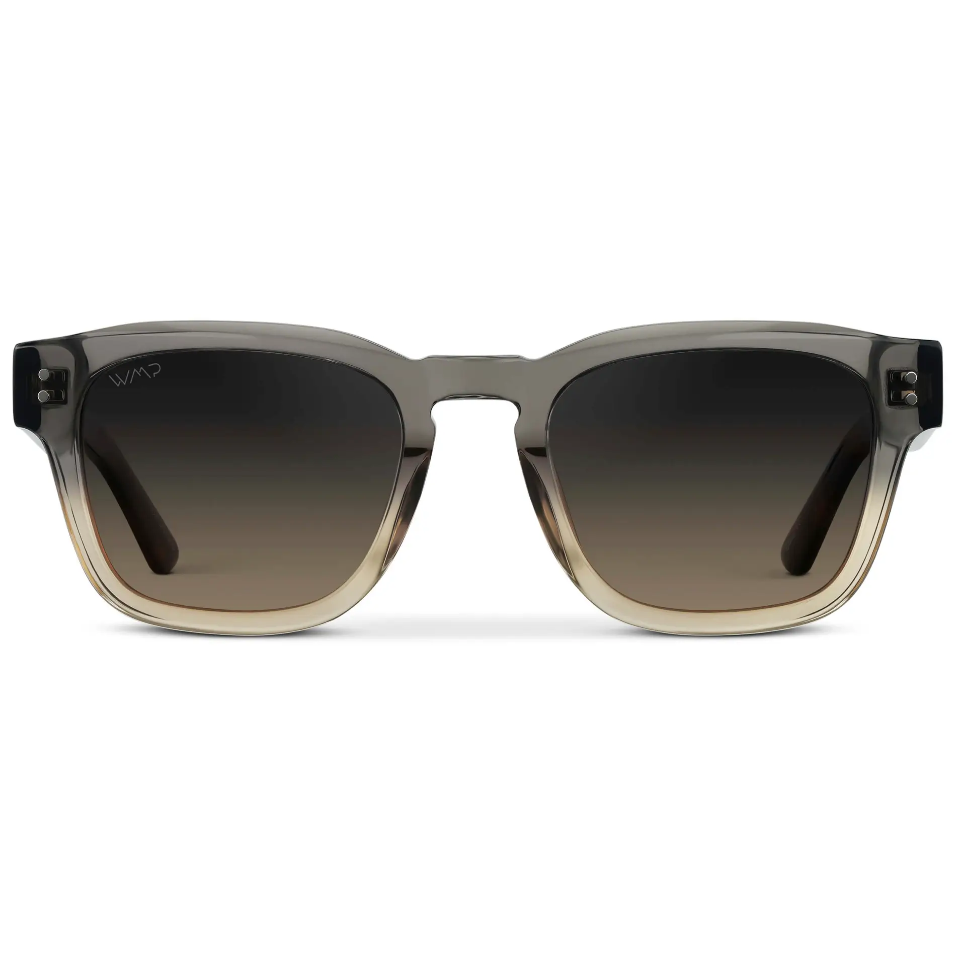 Wayne | Polarized - Image 15
