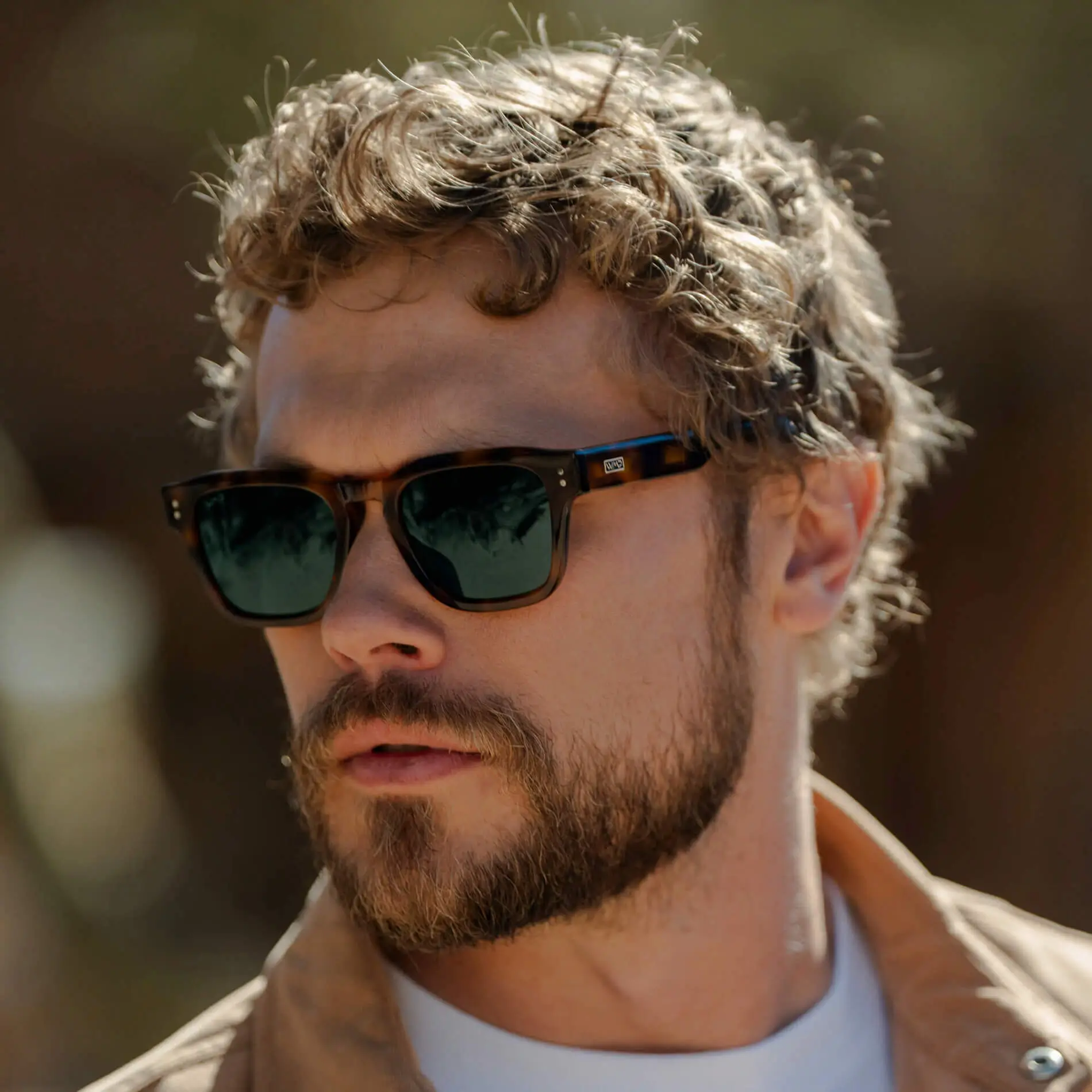 Wayne | Polarized - Image 23