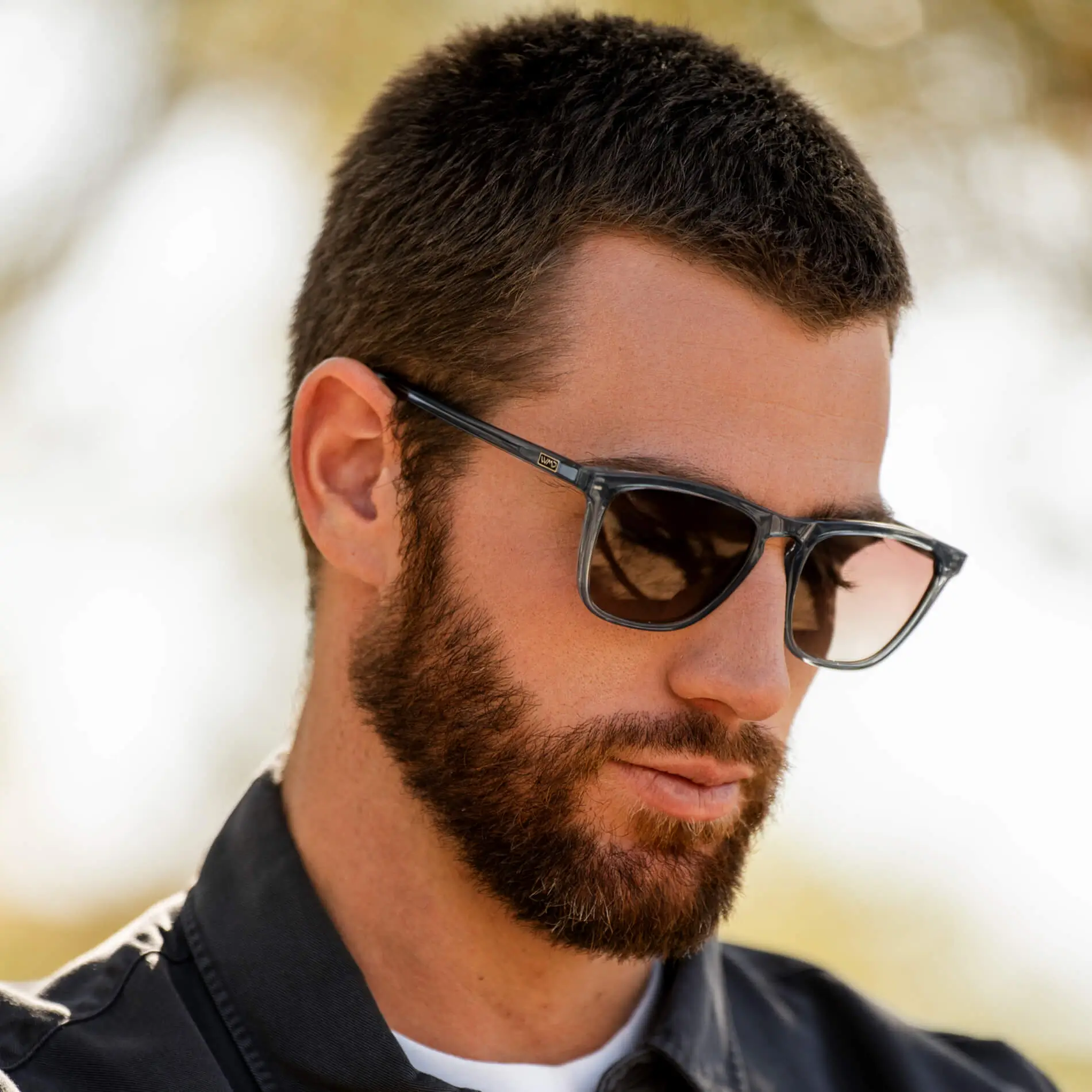 Wesley | Polarized - Image 17