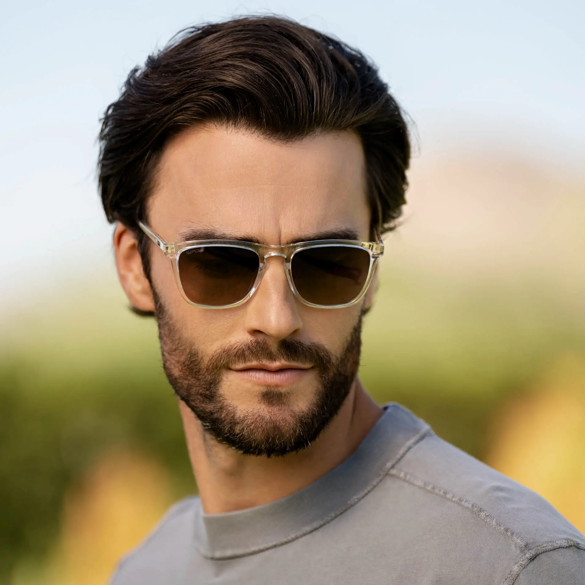 Wesley | Polarized - Image 21