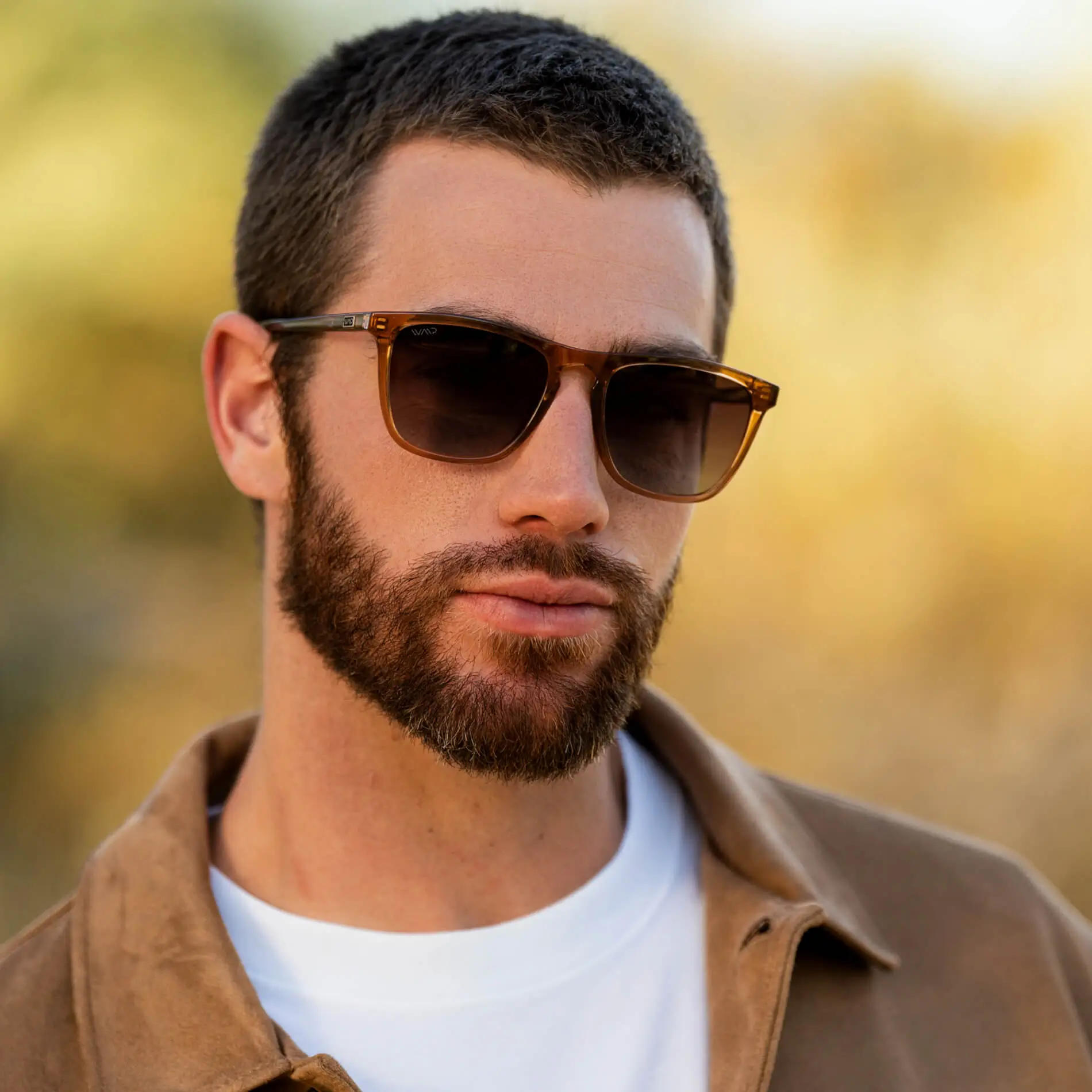 Wesley | Polarized - Image 3