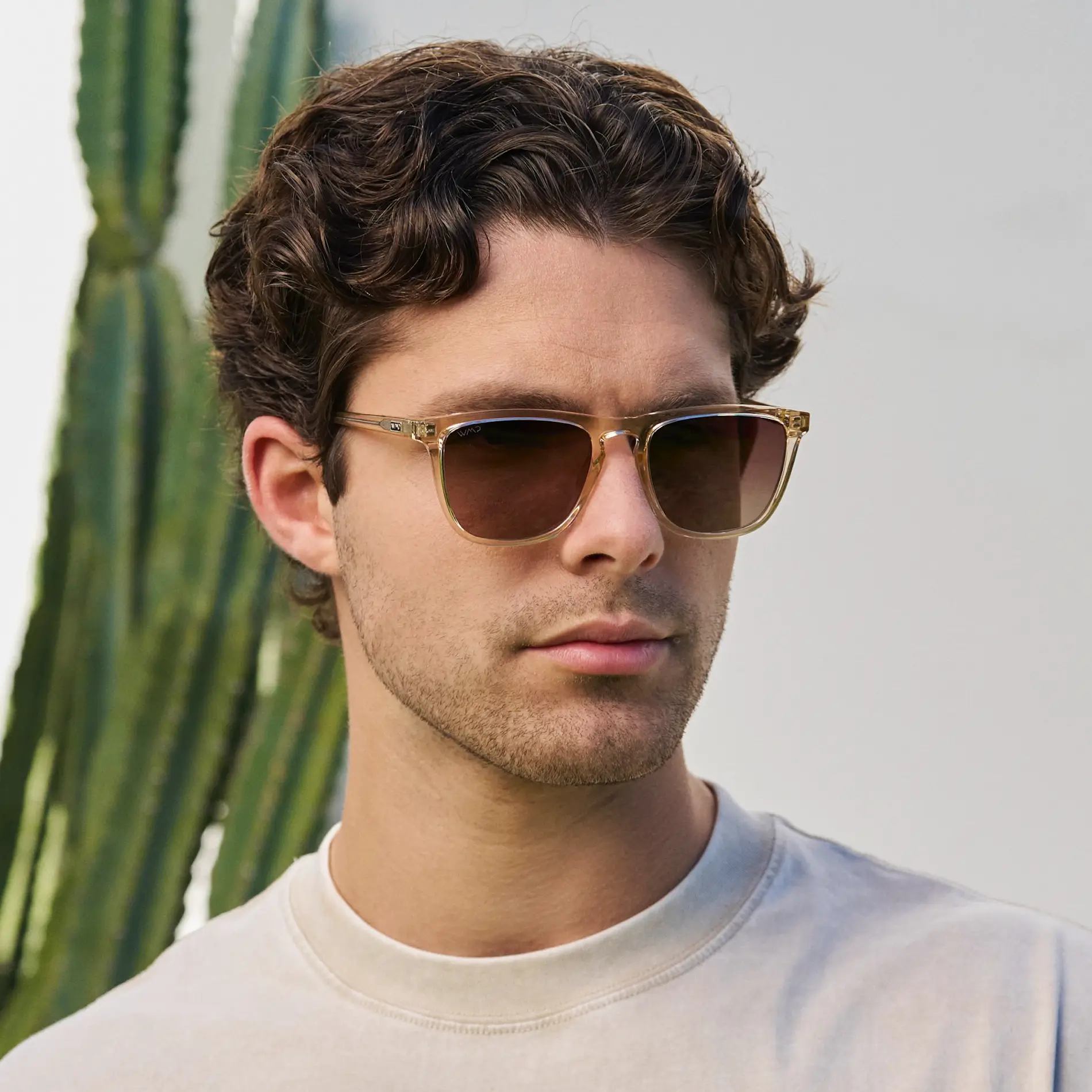 Wesley | Polarized - Image 31