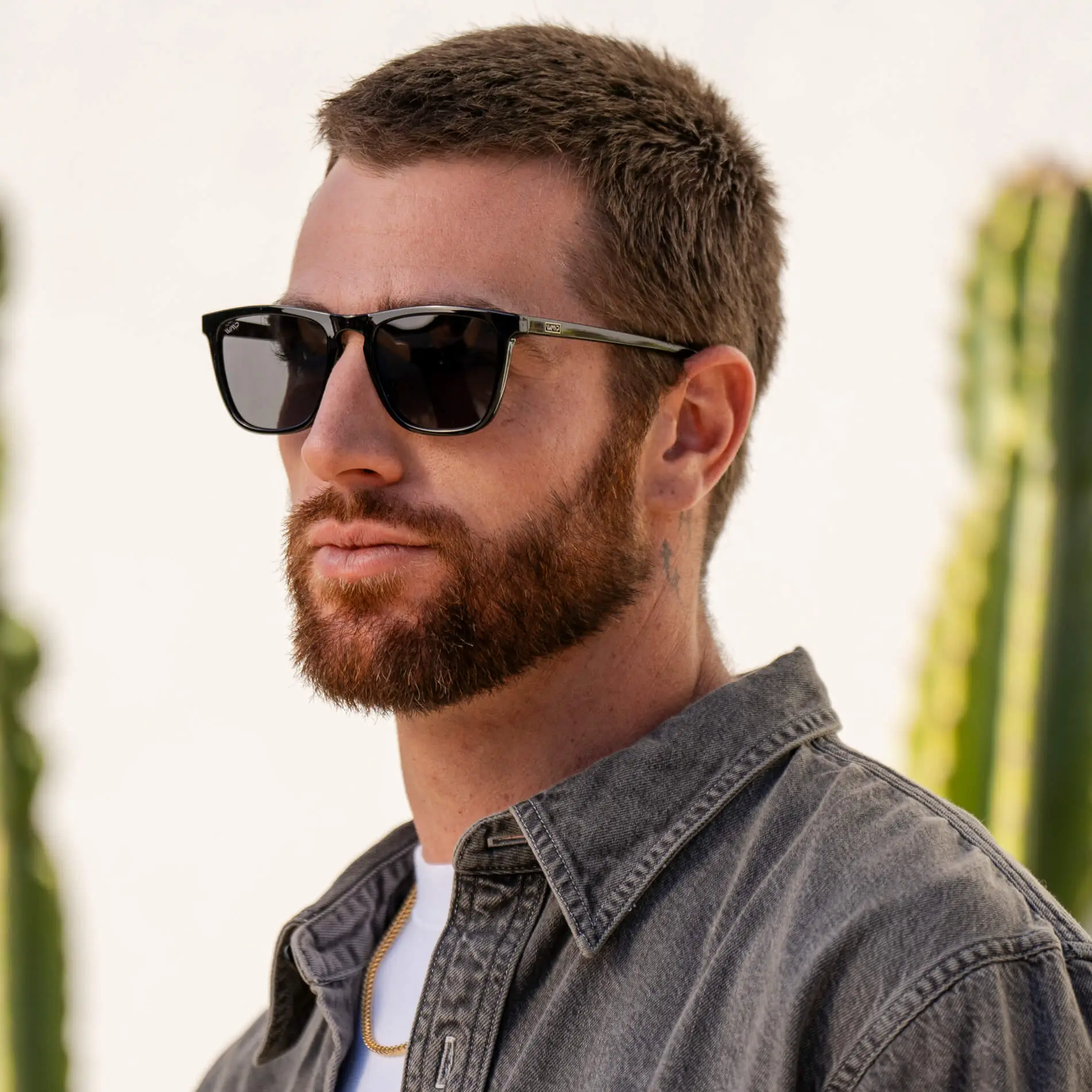 Wesley | Polarized - Image 7