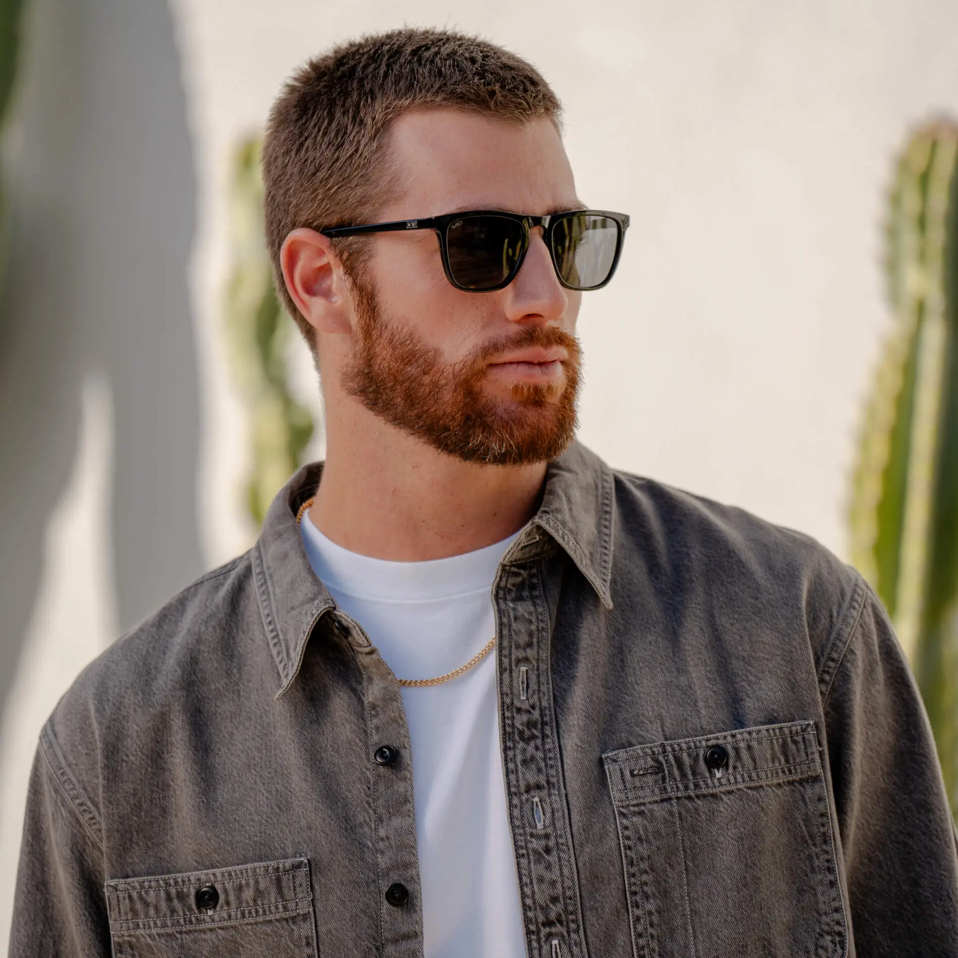 Wesley | Polarized - Image 8