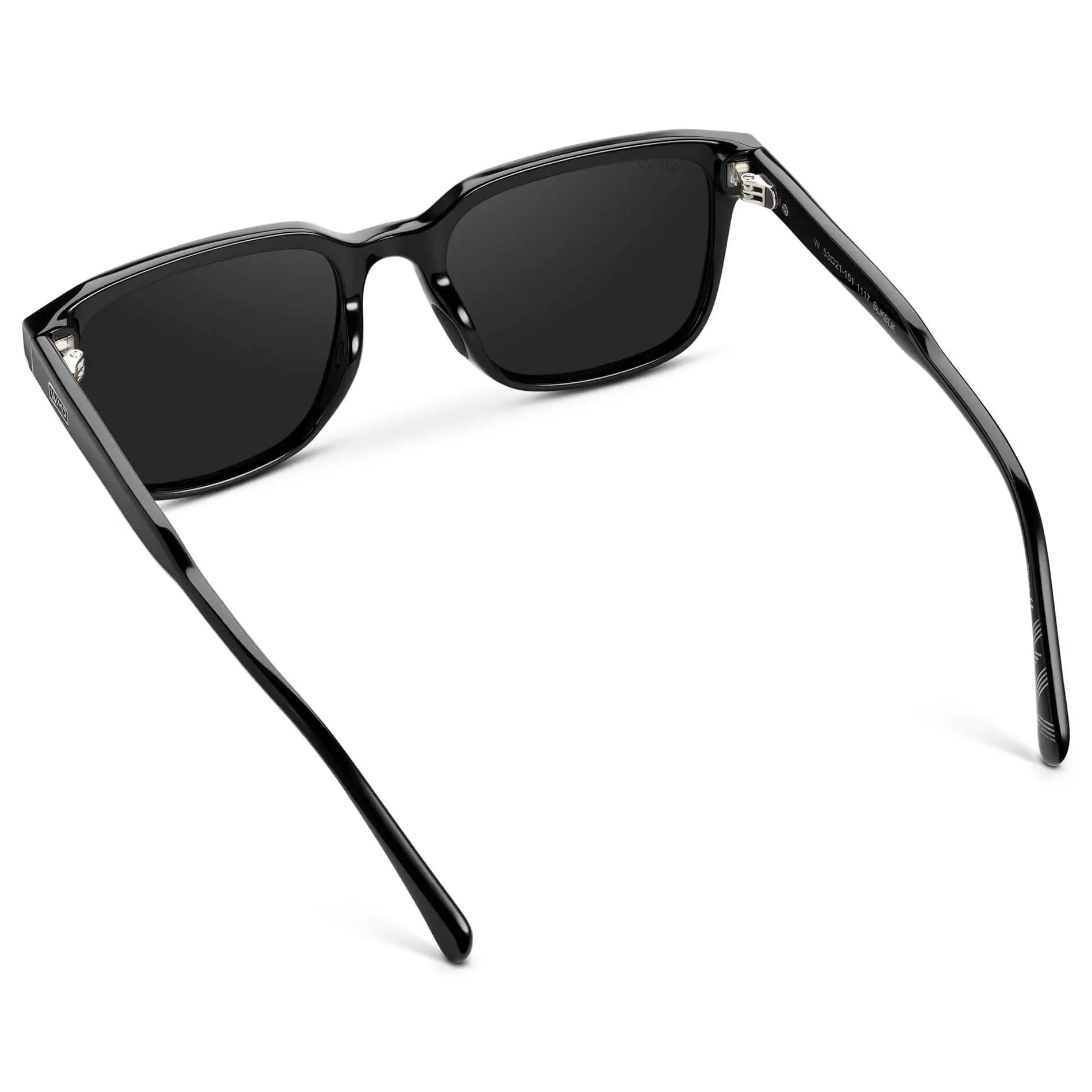 Woods | Polarized - Image 17