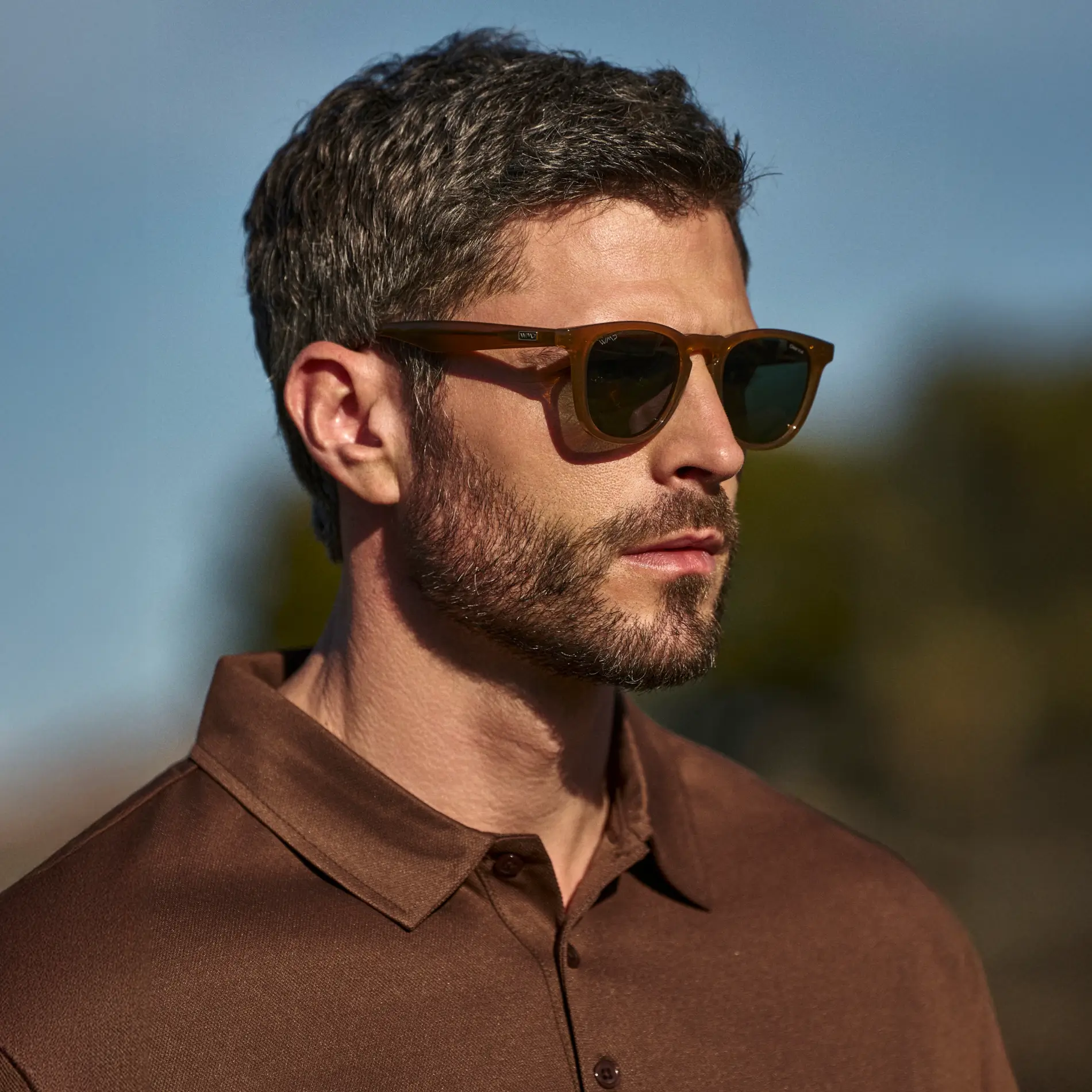 Wyndham | Polarized - Image 30